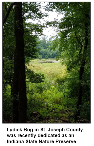 Lydick Bog in St. Joseph County was recently dedicated as an Indiana State Nature Preserve. 