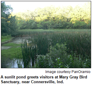 Mary Gray Bird Sanctuary.