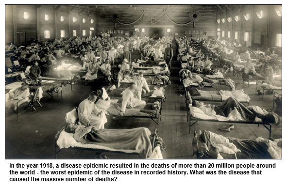 In the year 1918, a disease epidemic resulted in the deaths of more than 20 million people around the world - the worst epidemic of the disease in recorded history. What was the disease that caused the massive number of deaths?
