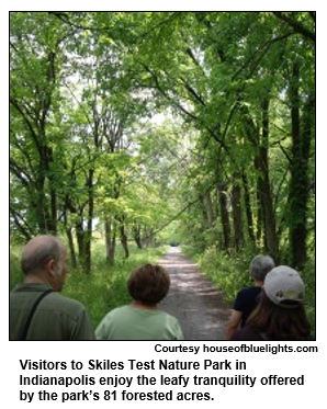 Visitors to Skiles Test Nature Park in Indianapolis enjoy the leafy tranquility offered by the park’s 81 forested acres.   
Courtesy houseofbluelights.com