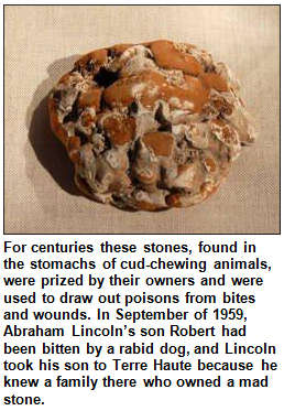 Image of a "mad stone," found in the stomach of a cud-chewing animal and thought to have curative properties.